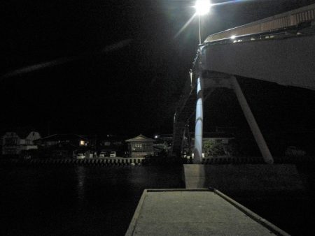 シーバス狙いが