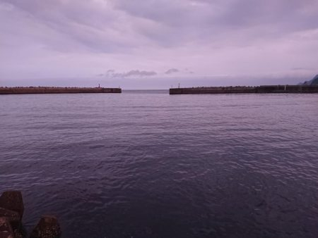 ちょこちょこ釣れてます