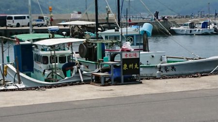 泉州丸で五目釣り