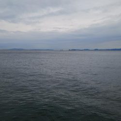 南港海釣り園にて釣行