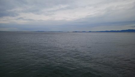 南港海釣り園にて釣行