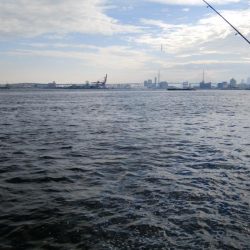 のませ釣りでツバス