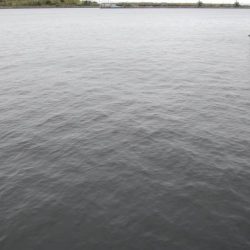 初めての場所でやっとサイズアップ