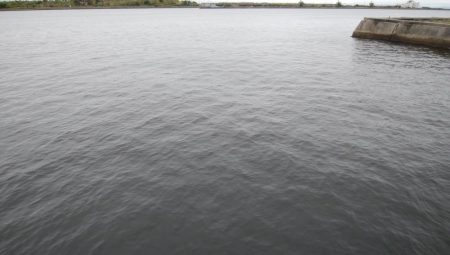 初めての場所でやっとサイズアップ