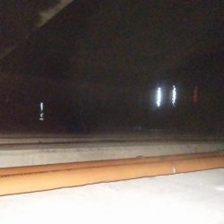 ナイトフィッシング（投げ釣り）シーバス