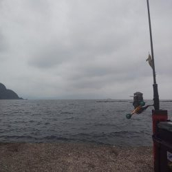 根魚天国で癒し