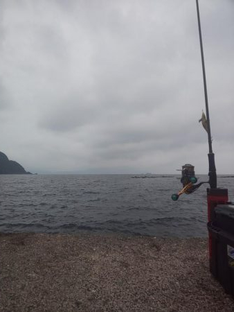 根魚天国で癒し