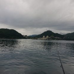 初場所でうまいやつ