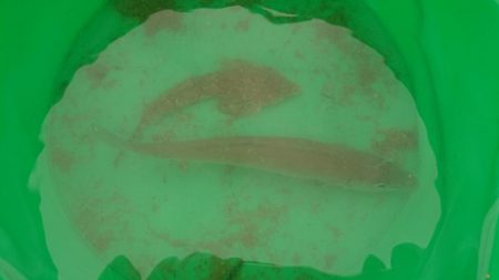 梅雨の晴れ間に