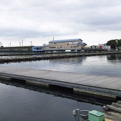 椎の木湖 へらぶな釣り