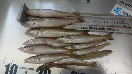 良型のキスを求めて