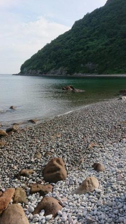 チニング&キス釣り