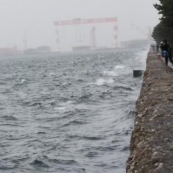 陸っぱりタチウオも，波高く雨で空いていて……