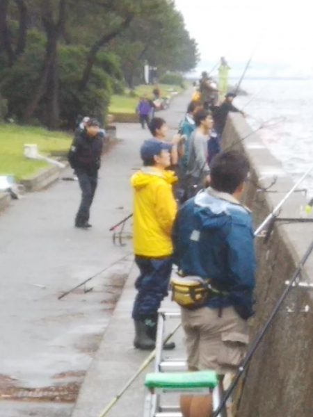 陸っぱりで超特大級ドラゴンをゲット！