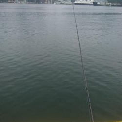 ﾌｧﾐﾘｰﾌｨｯｼﾝｸﾞ