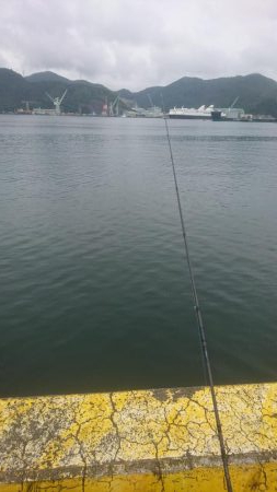 ﾌｧﾐﾘｰﾌｨｯｼﾝｸﾞ