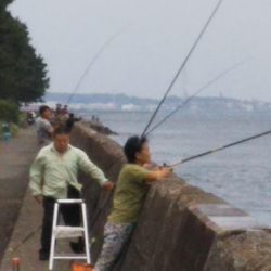 本日は時合い無し？？