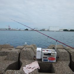 東二見西水道のキス情報