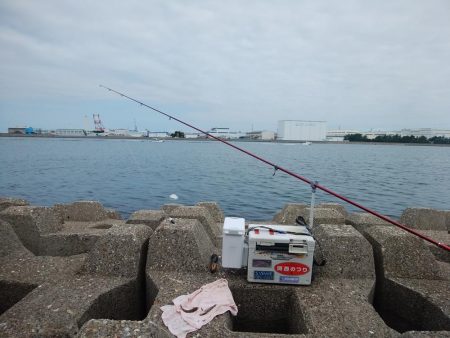 東二見西水道のキス情報