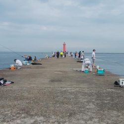 播磨新島のキス情報