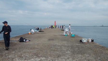 播磨新島のキス情報