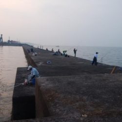 日ムラ激しい播磨新島のキス