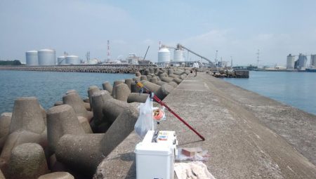 高砂港のキス情報