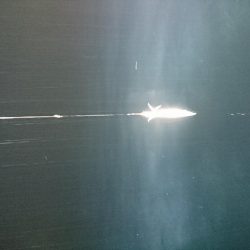 雨の中イカメタル