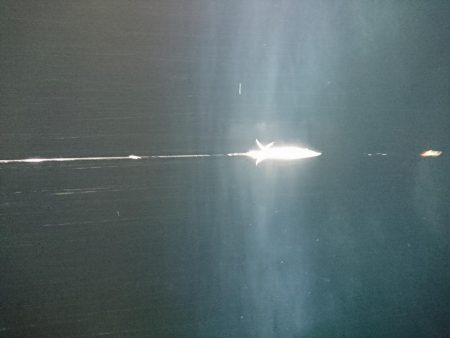 雨の中イカメタル