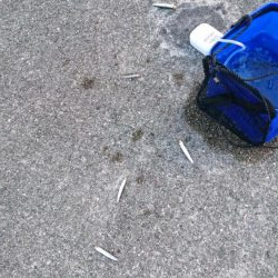 小サバノマセでメジロ70㎝、その他ツバス小サバなど