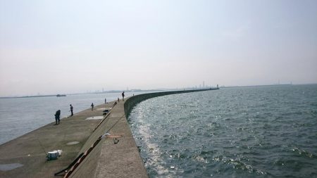 ツバス、タコ、小サバ、小アジ