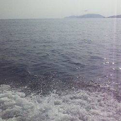 50UP届かず・・・?