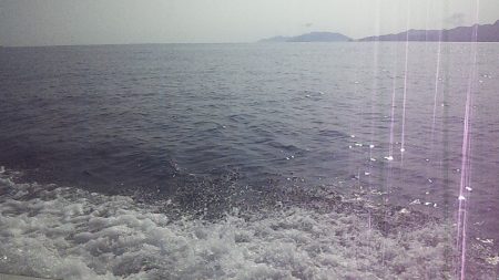 50UP届かず・・・?