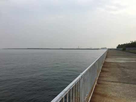 青物狙いのライトショアジギング