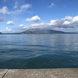 ショアジギング