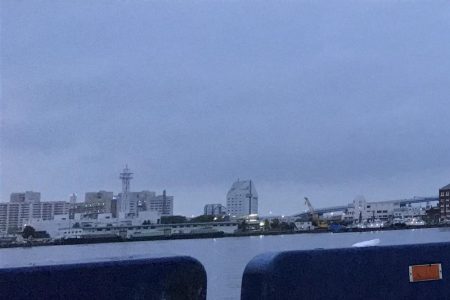 神戸港、モジャコ、ツバス祭り