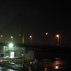 南港ヘチ釣行 カモメ大橋 （7/1 三度目の雨のヘチ釣り～ 真チヌ42.5cm、キビレチヌ、ガシラ 釣果有り）