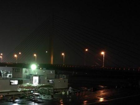 南港ヘチ釣行 カモメ大橋 （7/1 三度目の雨のヘチ釣り～ 真チヌ42.5cm、キビレチヌ、ガシラ 釣果有り）