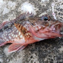 湯浅醤油を買いに行った序でに