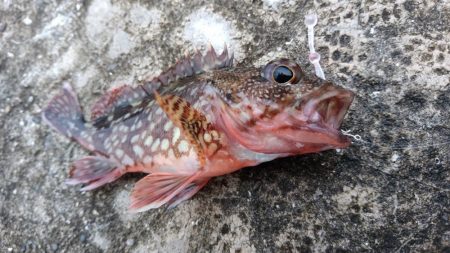 湯浅醤油を買いに行った序でに