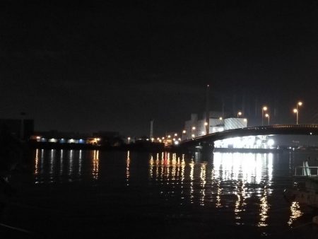 ヘチ釣行 南港カモメ大橋 （7/3 梅雨の晴れ間のヘチ釣り～ 真チヌ、キビレチヌ、ガシラ 釣果有り）