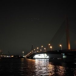 南港カモメ大橋 釣行 （7/5 雨後のヘチ釣り キビレチヌ35.5cm、ガシラ釣果有り）