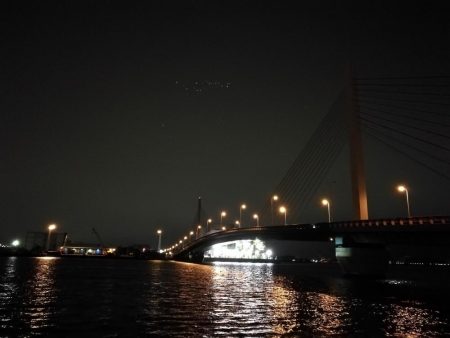 南港カモメ大橋 釣行 （7/5 雨後のヘチ釣り キビレチヌ35.5cm、ガシラ釣果有り）