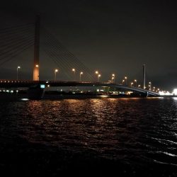 南港カモメ大橋 釣行 (7/6 強風のヘチ釣り キビレチヌ32cm、ガシラ釣果有り)