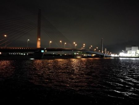 南港カモメ大橋 釣行 (7/6 強風のヘチ釣り キビレチヌ32cm、ガシラ釣果有り)