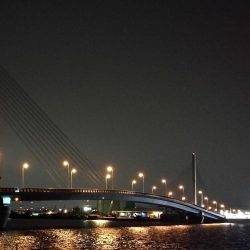 南港カモメ大橋 釣行 （7/7 曇りの七夕ヘチ釣り キビレチヌ、ガシラ釣果有り）