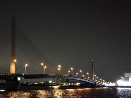 南港カモメ大橋 釣行 （7/7 曇りの七夕ヘチ釣り キビレチヌ、ガシラ釣果有り）