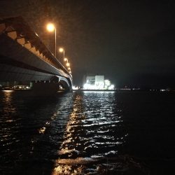 南港カモメ大橋 釣行 （7/8 久々の天気のヘチ釣り キビレチヌ45cm、ガシラ、謎のカニ 釣果有り）