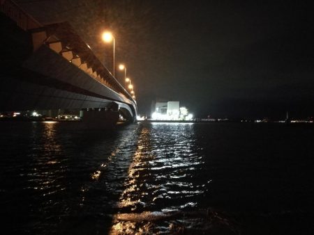 南港カモメ大橋 釣行 （7/8 久々の天気のヘチ釣り キビレチヌ45cm、ガシラ、謎のカニ 釣果有り）