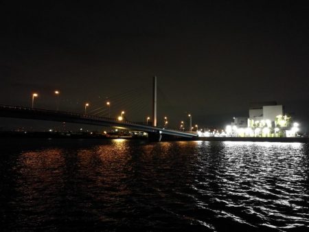 南港カモメ大橋 釣行 (7/10 不安定な天気でもヘチ釣行 キビレチヌ43.5cm、タケノコメバル 釣果有り)